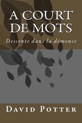 bokomslag A court de mots: Descente dans la demence