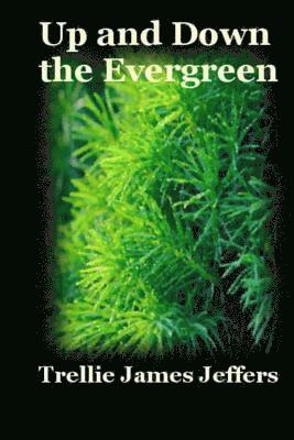 Up and Down The Evergreen