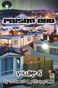 bokomslag Prison Dad Volume 6