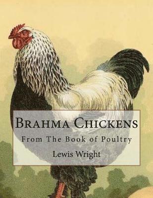 Lewis Wright - Brahma Chickens: From The Book of Poultry, Häftad