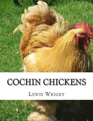 Cochin Chickens: From The Book of Poultry 1