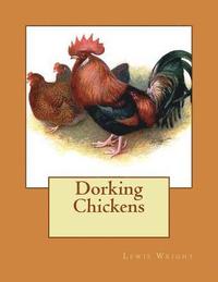 bokomslag Dorking Chickens: From The Book of Poultry