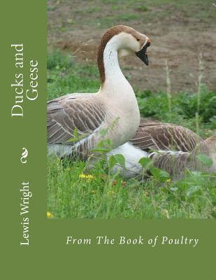Lewis Wright - Ducks and Geese: From The Book of Poultry, Häftad