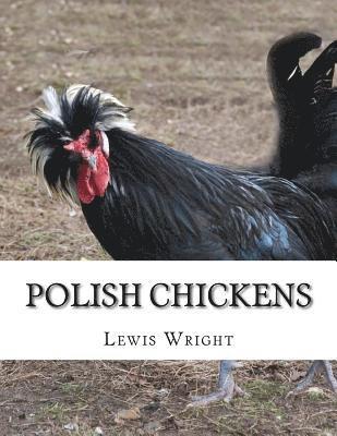 Lewis Wright - Polish Chickens: From The Book of Poultry, Häftad