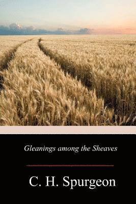 bokomslag Gleanings Among The Sheaves