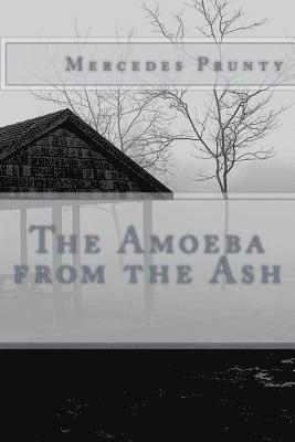 bokomslag The Amoeba from the Ash