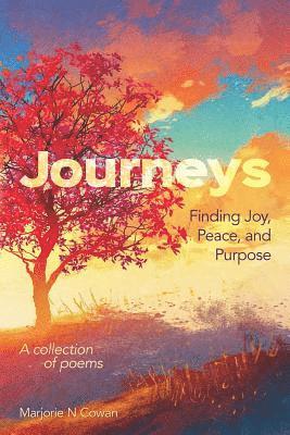 bokomslag Journeys: Finding Joy, Peace, and Purpose