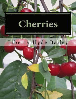 bokomslag Cherries