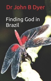 bokomslag Finding God in Brazil