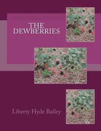 bokomslag The Dewberries