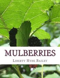 bokomslag Mulberries