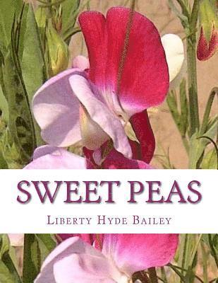 Sweet Peas 1