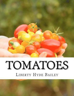 Tomatoes 1