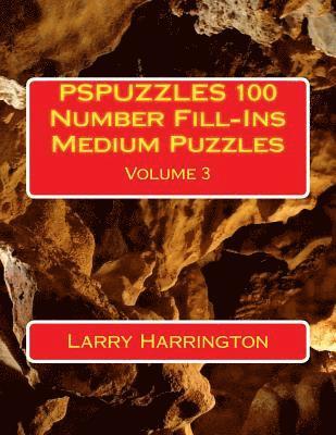 bokomslag PSPUZZLES 100 Number Fill-Ins Medium Puzzles Volume 3