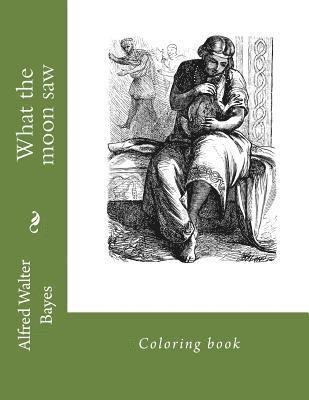 Alfred Walter Bayes, Monica Guido - What the moon saw: Coloring book, Häftad