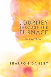 bokomslag Journey Through the Furnace: God is There!