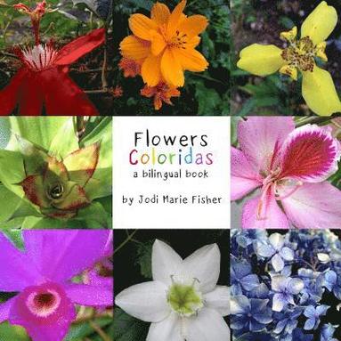bokomslag Flowers Coloridas: A Billingual Book of Costa Rican Flowers