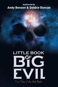 bokomslag Little Book of Big Evil
