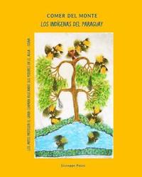 bokomslag Los Indigenas del Paraguay