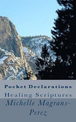 bokomslag Pocket Declarations: Healing Scriptures