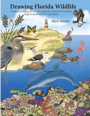 Sheri Amsel - Drawing Florida Wildlife, Häftad