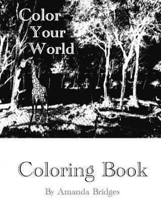 Color Your World - Coloring Book 1