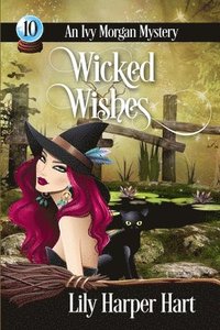 bokomslag Wicked Wishes