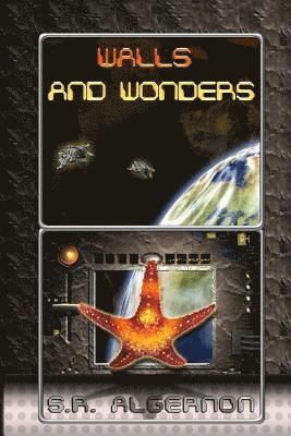 Walls and Wonders 1