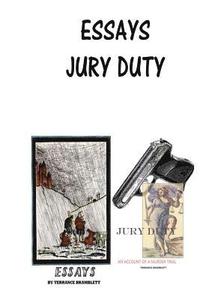bokomslag Essays-Jury Dity