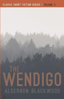bokomslag Wendigo