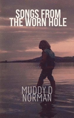 Songs from the Worn Hole: selected poems 1995 2017 1