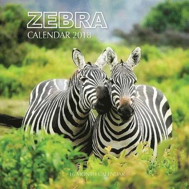 Zebra Calendar 18 16 Month Calendar Paul Jenson Bok Akademibokhandeln