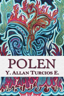 bokomslag Polen
