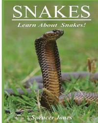 bokomslag Snakes: Fun Facts & Amazing Pictures - Learn About Snakes