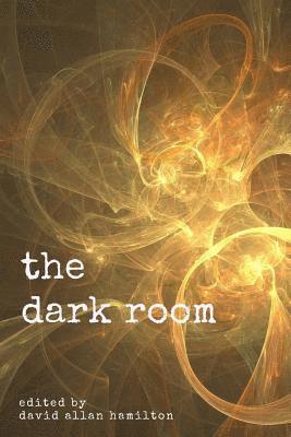 Emma Bider, Joshua Heymans - The Dark Room: A Poetry Anthology, Häftad