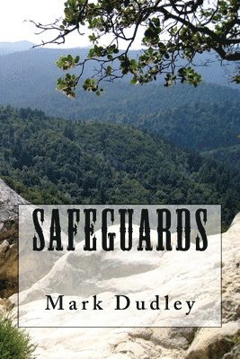 bokomslag Safeguards