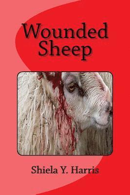 Wounded Sheep 1