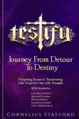 bokomslag Testify: Journey From Detour To Destiny