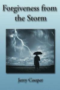 bokomslag Forgiveness From the Storm