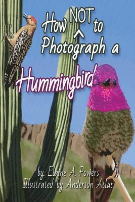 How NOT to Photograph a Hummingbird 1