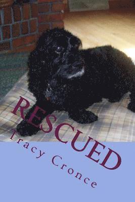 Rescued: The Story of a Cocker Spaniel's Second Chance at Life 1