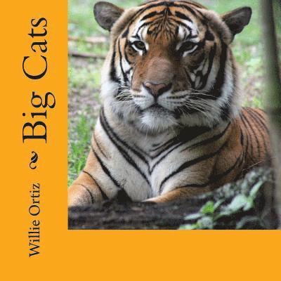 Big Cats 1