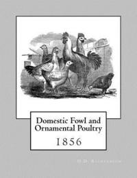 bokomslag Domestic Fowl and Ornamental Poultry
