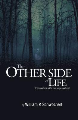 bokomslag The Other Side of Life: Encounters with the Supernatural