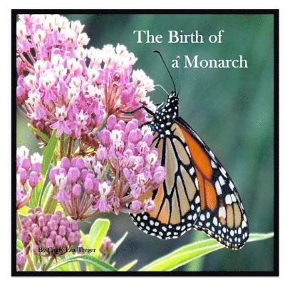 The Birth Of A Monarch: Metamorphosis of a Monarch Butterfly 1