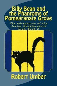 bokomslag Billy Bean and the Phantoms of Pomegranate Grove