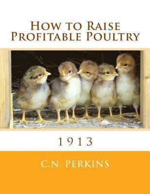 C. N. Perkins - How to Raise Profitable Poultry, Häftad