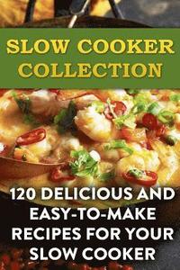 bokomslag Slow Cooker Collection: 120 Delicious and Easy-to-Make Recipes For Your Slow Cooker: (Slow Cooker Recipes, Slow Cooker Cookbook)