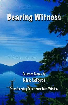 bokomslag Bearing Witness: Transforming Experience Into Wisdom