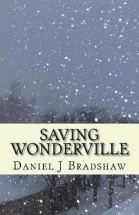 bokomslag Saving Wonderville